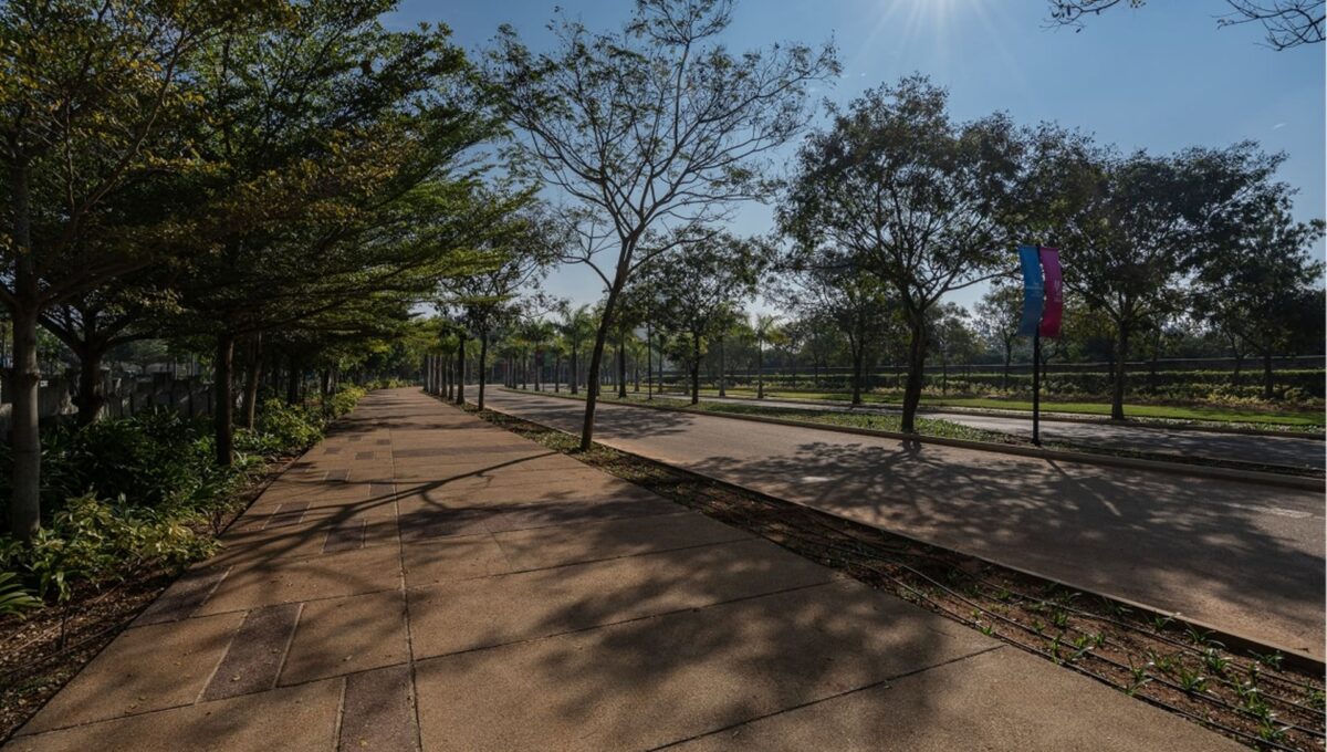 Embassy Springs Township Gallery 2